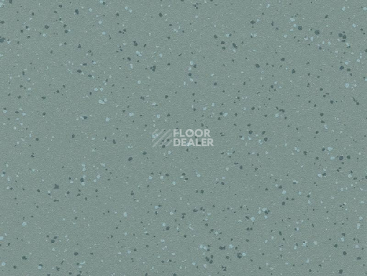 Линолеум Polyflor Polysafe Verona Pur 5211 Seagrass фото 1 | FLOORDEALER